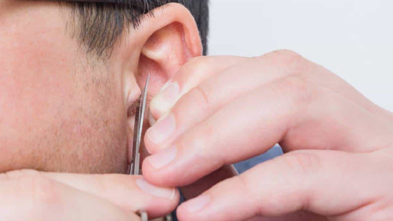 Hair on Ears: ವ್ಯಕ್ತಿಯ ಕಿವಿಯಲ್ಲಿ ಕೂದಲು ಬೆಳೆದ್ರೆ ಏನರ್ಥ ಗೊತ್ತಾ?