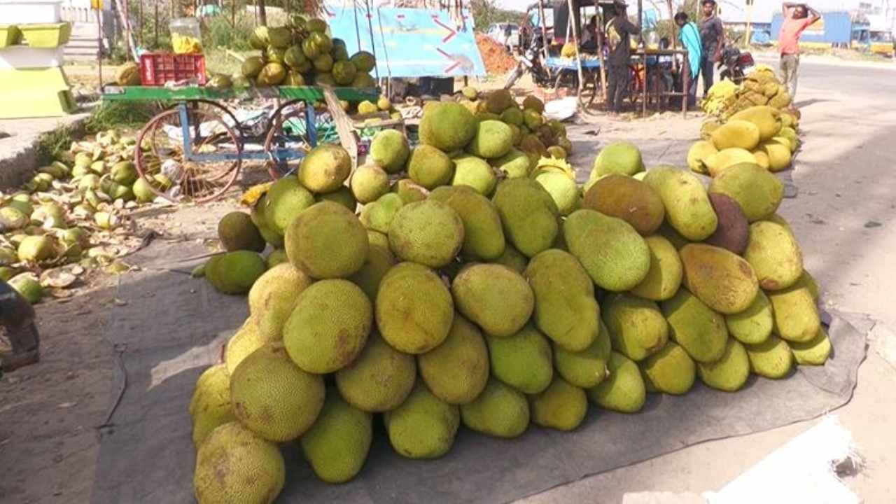 ಚಿಕ್ಕಬಳ್ಳಾಪುರ, ಮೊದಲೇ ಫಲಪುಷ್ಪ ಗಿರಿಧಾಮಗಳ ಜಿಲ್ಲೆ. ಇಲ್ಲಿಯ ರೈತರು ಹೂವು, ಹಣ್ಣು, ತರಕಾರಿ ಬೆಳೆಯುವುದನ್ನು ತಮ್ಮ ಜೀವಾಳವನ್ನಾಗಿ ಮಾಡಿಕೊಂಡಿದ್ದಾರೆ. ಇದೀಗ ಇಲ್ಲಿ ಬೆಳೆಯುವ ಹಲಸಿನ ಹಣ್ಣಿಗೆ ಭಾರಿ ಡಿಮ್ಯಾಂಡ್ ಬಂದಿದೆ. ವರ್ಷಕ್ಕೊಮ್ಮೆ ಮಾತ್ರ ಕಾಣಸಿಗುವ ಇಲ್ಲಿಯ ಹಲಸು ನೆರೆ ರಾಜ್ಯ ಹೈದರಾಬಾದ್ ನಲ್ಲಿಯೂ ಹವಾ ಸೃಸ್ಟಿಸಿದೆ. ಪ್ರತಿದಿನ ಲೋಡ್ ಗಟ್ಟಲೆ ಹಲಸನ್ನು ಖರೀದಿಸಿ ಹೈದರಾಬಾದ್​ನಲ್ಲಿ ಮಾರಾಟ ಮಾಡಲಾಗುತ್ತಿದೆ.