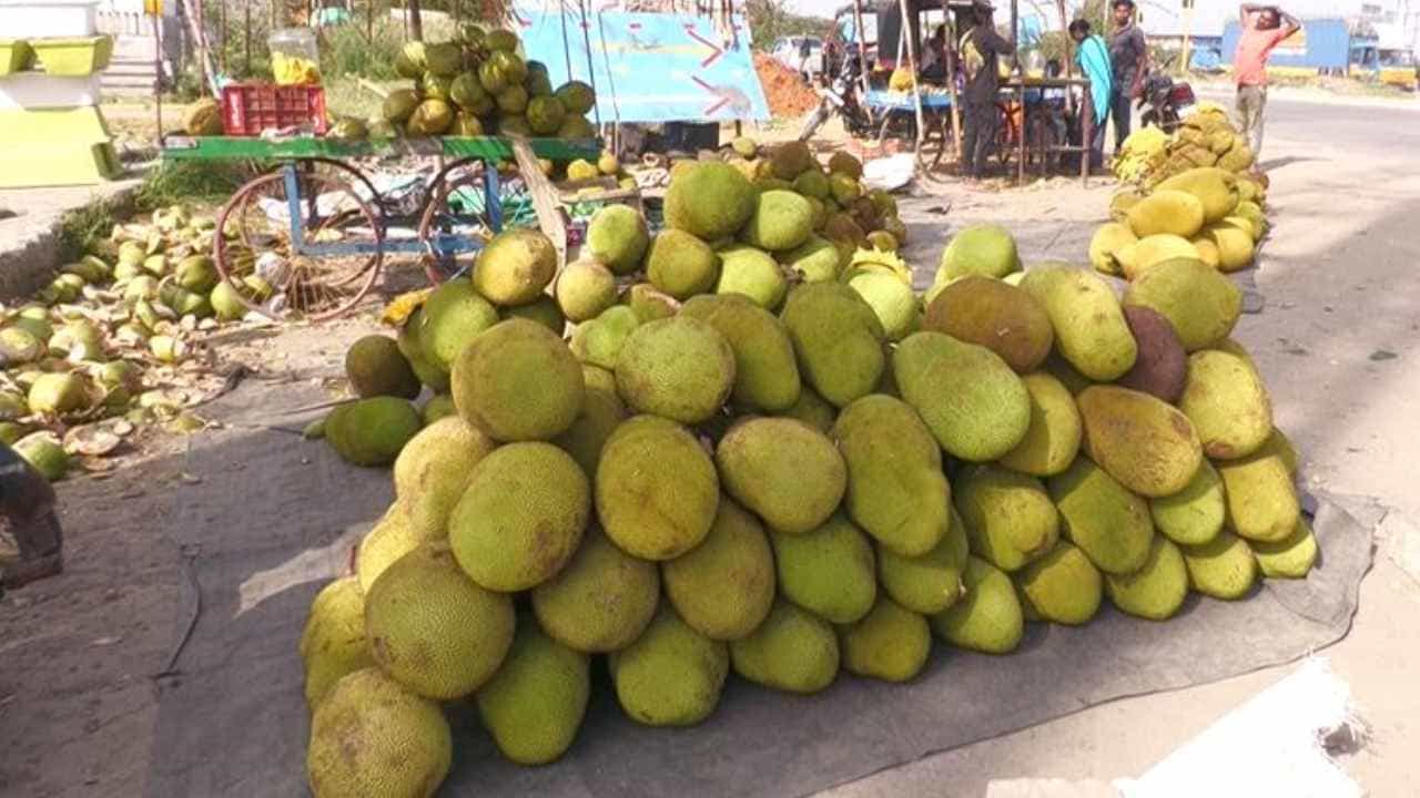 ಚಿಕ್ಕಬಳ್ಳಾಪುರ, ಮೊದಲೇ ಫಲಪುಷ್ಪ ಗಿರಿಧಾಮಗಳ ಜಿಲ್ಲೆ. ಇಲ್ಲಿಯ ರೈತರು ಹೂವು, ಹಣ್ಣು, ತರಕಾರಿ ಬೆಳೆಯುವುದನ್ನು ತಮ್ಮ ಜೀವಾಳವನ್ನಾಗಿ ಮಾಡಿಕೊಂಡಿದ್ದಾರೆ. ಇದೀಗ ಇಲ್ಲಿ ಬೆಳೆಯುವ ಹಲಸಿನ ಹಣ್ಣಿಗೆ ಭಾರಿ ಡಿಮ್ಯಾಂಡ್ ಬಂದಿದೆ. ವರ್ಷಕ್ಕೊಮ್ಮೆ ಮಾತ್ರ ಕಾಣಸಿಗುವ ಇಲ್ಲಿಯ ಹಲಸು ನೆರೆ ರಾಜ್ಯ ಹೈದರಾಬಾದ್ ನಲ್ಲಿಯೂ ಹವಾ ಸೃಸ್ಟಿಸಿದೆ. ಪ್ರತಿದಿನ ಲೋಡ್ ಗಟ್ಟಲೆ ಹಲಸನ್ನು ಖರೀದಿಸಿ ಹೈದರಾಬಾದ್ನಲ್ಲಿ ಮಾರಾಟ ಮಾಡಲಾಗುತ್ತಿದೆ.