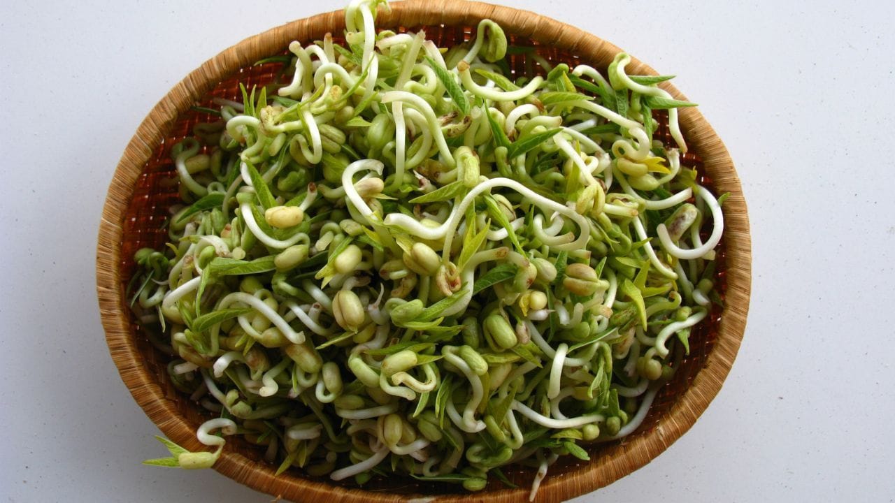 ಹೃದಯ ಬಡಿತ ಆರೋಗ್ಯವಾಗಿರಬೇಕೆಂದರೆ ಈ ರೀತಿಯ ಬ್ರೇಕ್ ಫಾಸ್ಟ್ ಬೆಸ್ಟ್