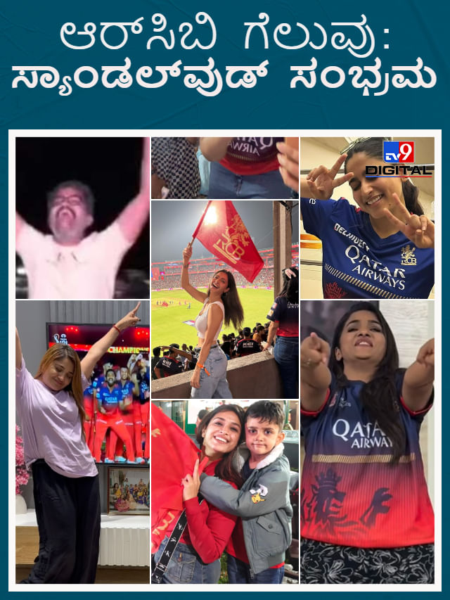 ಆರ್​ಸಿಬಿ ಗೆಲುವನ್ನು ಸಂಭ್ರಮಿಸಿದ ಕನ್ನಡದ ಸೆಲೆಬ್ರಿಟಿಗಳು