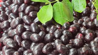 Child Health: ಮಕ್ಕಳ ನೀರಿನ ಬಾಟಲಿಯನ್ನು ಈ ರೀತಿ ಸ್ವಚ್ಛಗೊಳಿಸಿ