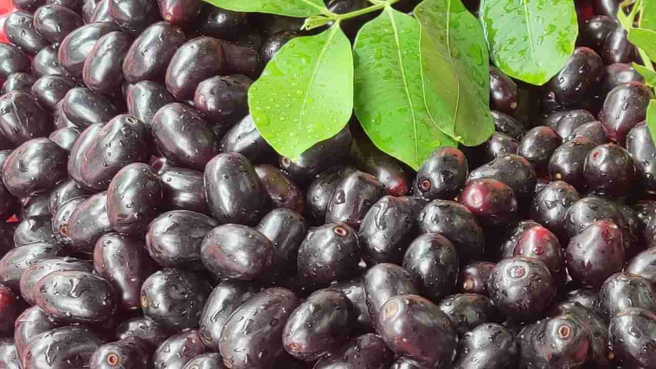 ಈ ಹಣ್ಣಿನ ಸೀಸನ್ ಮುಗಿಯುವ ಮೊದಲು ತಿನ್ನಿ, ಇದ್ರಲ್ಲಿ ಸಿಗುವ ಆರೋಗ್ಯ ಪ್ರಯೋಜನ ಯಾವುದರಲ್ಲೂ ಇಲ್ಲ