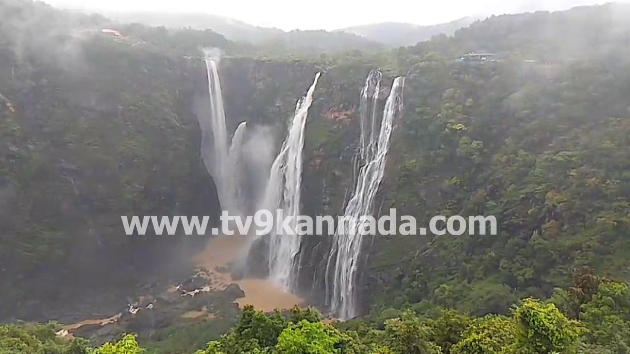 ಮಳೆಯಿಂದಾಗಿ ಹೊಸನಗರ ತಾಲೂಕಿನ ಹುಲಿಕಲ್ ಘಾಟ್ನ ತಿರುವಿನಲ್ಲಿ ಮಣ್ಣು ಕುಸಿದಿದೆ. ಅದೇ ಜಾಗದಲ್ಲಿ ಲಾರಿಯೊಂದು ಕೆಟ್ಟು ನಿಂತಿದ್ದರಿಂದ ರಾತ್ರಿಯಿಂದ ನೂರಾರು ವಾಹನಗಳು ನಿಂತಲ್ಲೇ ನಿಂತಿದ್ದವು. ಹೊಸನಗರದ ಅರಮನೆಕೊಪ್ಪ ಬಳಿಯ ಕುಂದಗಲ್ನಲ್ಲಿ ಮತ್ತೆ 2 ಅಡಿ ಆಳಕ್ಕೆ ಭೂಮಿ ಕುಸಿದಿದೆ. ಹೀಗಾಗಿ ಶಾಸಕ ಆರಗ ಜ್ಞಾನೇಂದ್ರ ಸೇರಿ ಹಲವು ಅಧಿಕಾರಿಗಳು ಆಗಮಿಸಿ ಸ್ಥಳ ಪರಿಶೀಲನೆ ನಡೆಸಿದ್ದಾರೆ. ಸಾಗರ ತಾಲೂಕಿನ ಸುಳ್ಳಳ್ಳಿ ಗ್ರಾಮದಲ್ಲಿ ಹಳ್ಳ ಕೊಚ್ಚಿಹೋಗಿದ್ದು, ಹರಿಯುತ್ತಿರುವ ನೀರಿನಲ್ಲೇ ಮಕ್ಕಳು ಶಾಲೆಗೆ ತೆರಳಲು ಪರದಾಡಿದ್ದಾರೆ. ವಿಶ್ವವಿಖ್ಯಾತ ಜೋಗ ಜಲಪಾತ ಧುಮ್ಮಿಕ್ಕುತ್ತಿದ್ದು, ಪ್ರವಾಸಿಗರ ದಂಡೇ ಬರುತ್ತಿದೆ.