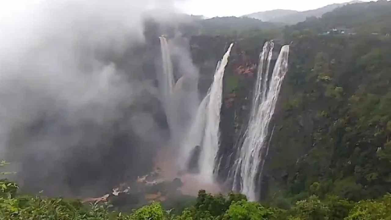 ಧುಮ್ಮುಕ್ಕುತ್ತಿರುವ ವಿಶ್ವ ವಿಖ್ಯಾತ ಜಲಪಾತ, ಜೋಗದ ಸಿರಿಯ ನಯನ ಮನೋಹರ ದೃಶ್ಯ