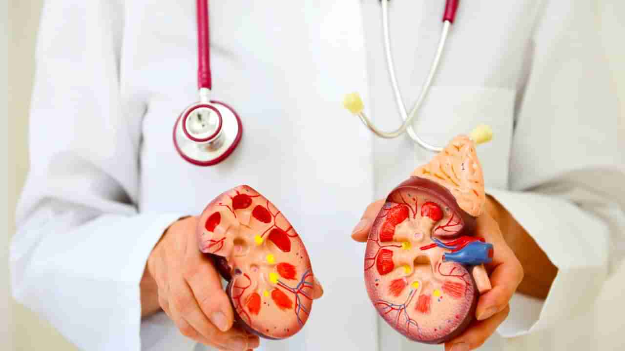 ರಾತ್ರಿ ಸಮಯದಲ್ಲಿ ಕಂಡು ಬರುವ ಈ 6 ಲಕ್ಷಣಗಳು ಕಿಡ್ನಿ ಫೇಲ್ಯೂರ್ ಆಗುವ ಮುನ್ಸೂಚನೆ