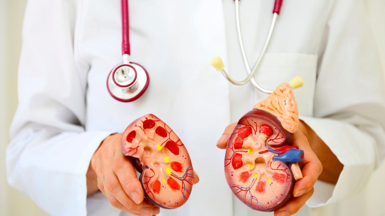 ರಾತ್ರಿ ಸಮಯದಲ್ಲಿ ಕಂಡು ಬರುವ ಈ 6 ಲಕ್ಷಣಗಳು ಕಿಡ್ನಿ ಫೇಲ್ಯೂರ್ ಆಗುವ ಮುನ್ಸೂಚನೆ