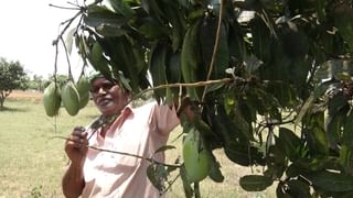 ಕರ್ನಾಟಕದಲ್ಲಿ ಮತ್ತೊಂದು ದರೋಡೆ: ಕೋಲಾರದಲ್ಲಿ SBI ಎಟಿಎಂ ದೋಚಿದ ಖದೀಮರು