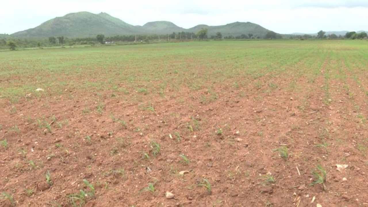 ಕೂಡ್ಲಿ ಮಠದ ಕೋಟ್ಯಂತರ ರೂ ಆಸ್ತಿ ಅಕ್ರಮ ಮಾರಾಟಕ್ಕೆ ಪ್ಲ್ಯಾನ್: ಕಾಂಗ್ರೆಸ್ ನಾಯಕಿ ಹೆಸರಿಗೆ ಹಕ್ಕು ಬದಲಾವಣೆ ಕೂಡ್ಲಿ ಮಠದ ಕೋಟ್ಯಂತರ ರೂ ಆಸ್ತಿ ಅಕ್ರಮ ಮಾರಾಟಕ್ಕೆ ಪ್ಲ್ಯಾನ್: ಕಾಂಗ್ರೆಸ್ ನಾಯಕಿ ಹೆಸರಿಗೆ ಹಕ್ಕು ಬದಲಾವಣೆ