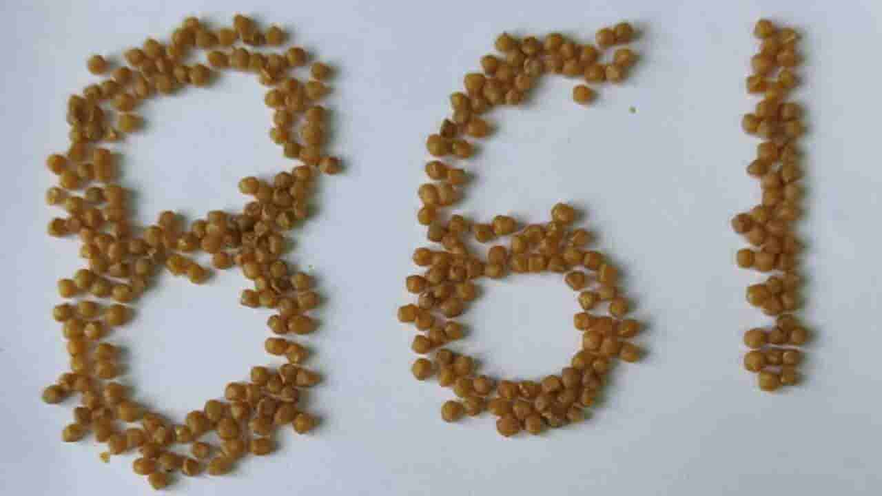 ಮೈಸೂರು: ಆಪರೇಷನ್ ವೇಳೆ ದಂಗಾದ ವೈದ್ಯರು, ಮಹಿಳೆ ದೇಹದಲ್ಲಿ 861 ಕಲ್ಲುಗಳು ಪತ್ತೆ