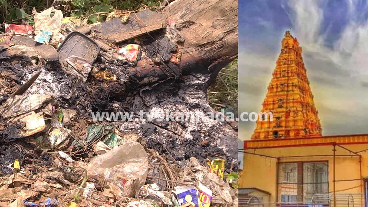 ಮಾದಪ್ಪನ ಸನ್ನಿಧಿಯಲ್ಲಿ ಹೆಚ್ಚಾಯ್ತು ಗಾಂಜಾ ಘಾಟು: ಎಲ್ಲೆಂದರಲ್ಲಿ ಬಿದ್ದಿವೆ ಮದ್ಯದ ಪೌಚ್ ಮಾದಪ್ಪನ ಸನ್ನಿಧಿಯಲ್ಲಿ ಹೆಚ್ಚಾಯ್ತು ಗಾಂಜಾ ಘಾಟು: ಎಲ್ಲೆಂದರಲ್ಲಿ ಬಿದ್ದಿವೆ ಮದ್ಯದ ಪೌಚ್