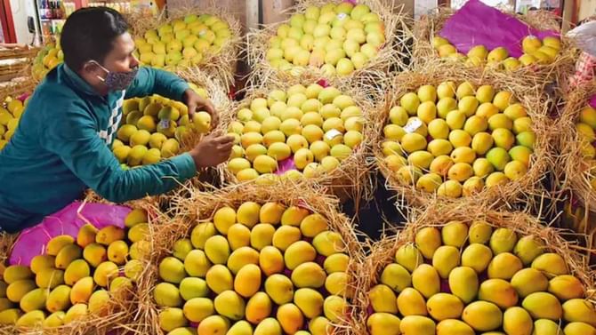 ಮಾವು ಬೆಳಗಾರರ ನೆರವಿಗೆ ಕೇಂದ್ರ: 2.5 ಲಕ್ಷ ಟನ್ ಮಾವು ಖರೀದಿಗೆ ಒಪ್ಪಿಗೆ ಮಾವು ಬೆಳಗಾರರ ನೆರವಿಗೆ ಕೇಂದ್ರ: 2.5 ಲಕ್ಷ ಟನ್ ಮಾವು ಖರೀದಿಗೆ ಒಪ್ಪಿಗೆ