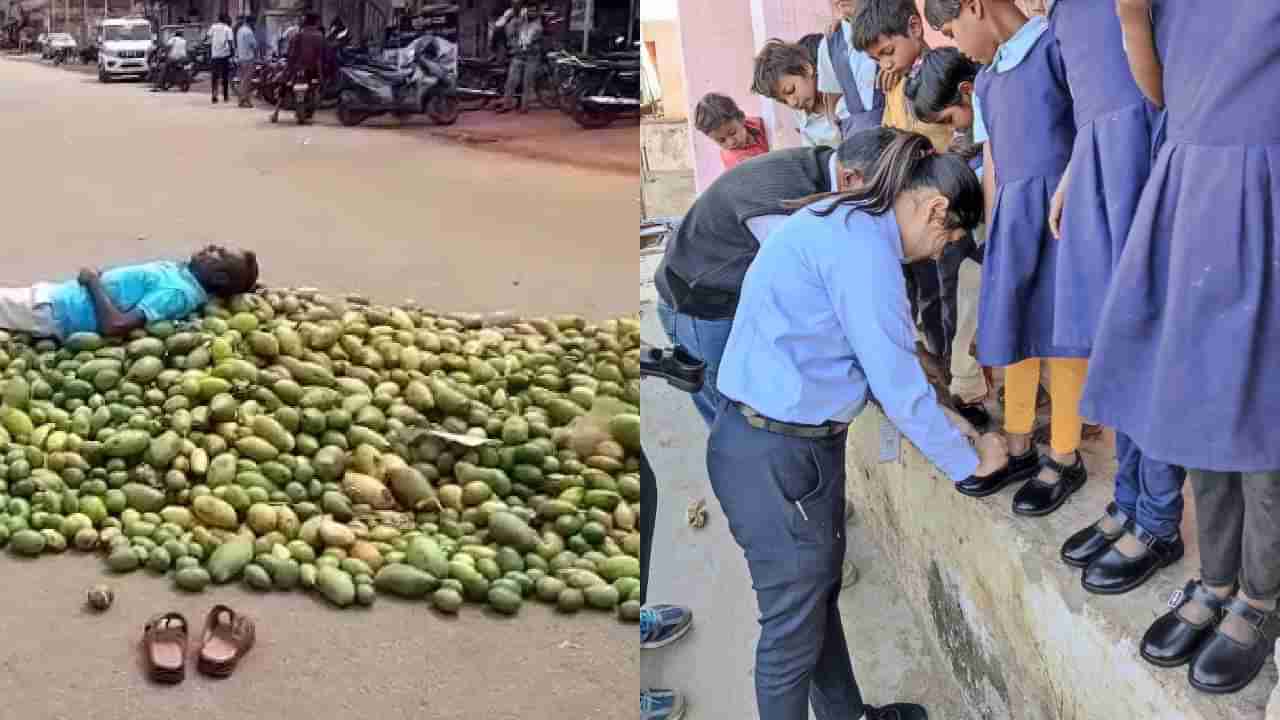 ಮಾವು ಬೆಳೆಗಾರರಿಗೆ, ವಿದ್ಯಾರ್ಥಿಗಳಿಗೆ ಸಿಹಿ ಸುದ್ದಿ ನೀಡಿದ ರಾಜ್ಯ ಸರ್ಕಾರ