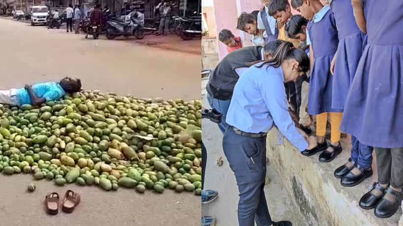 ಮಾವು ಬೆಳೆಗಾರರಿಗೆ, ವಿದ್ಯಾರ್ಥಿಗಳಿಗೆ ಸಿಹಿ ಸುದ್ದಿ ನೀಡಿದ ರಾಜ್ಯ ಸರ್ಕಾರ