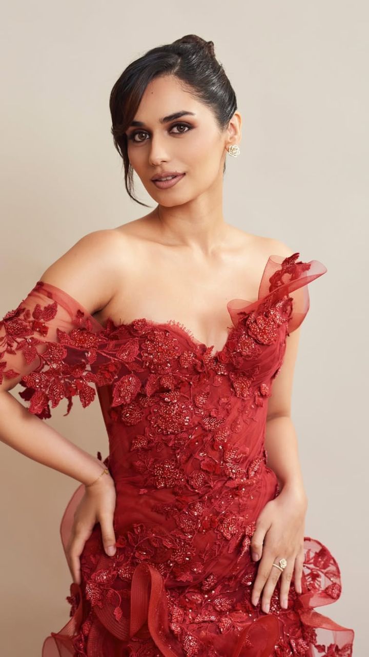 Manushi Chhillar5
