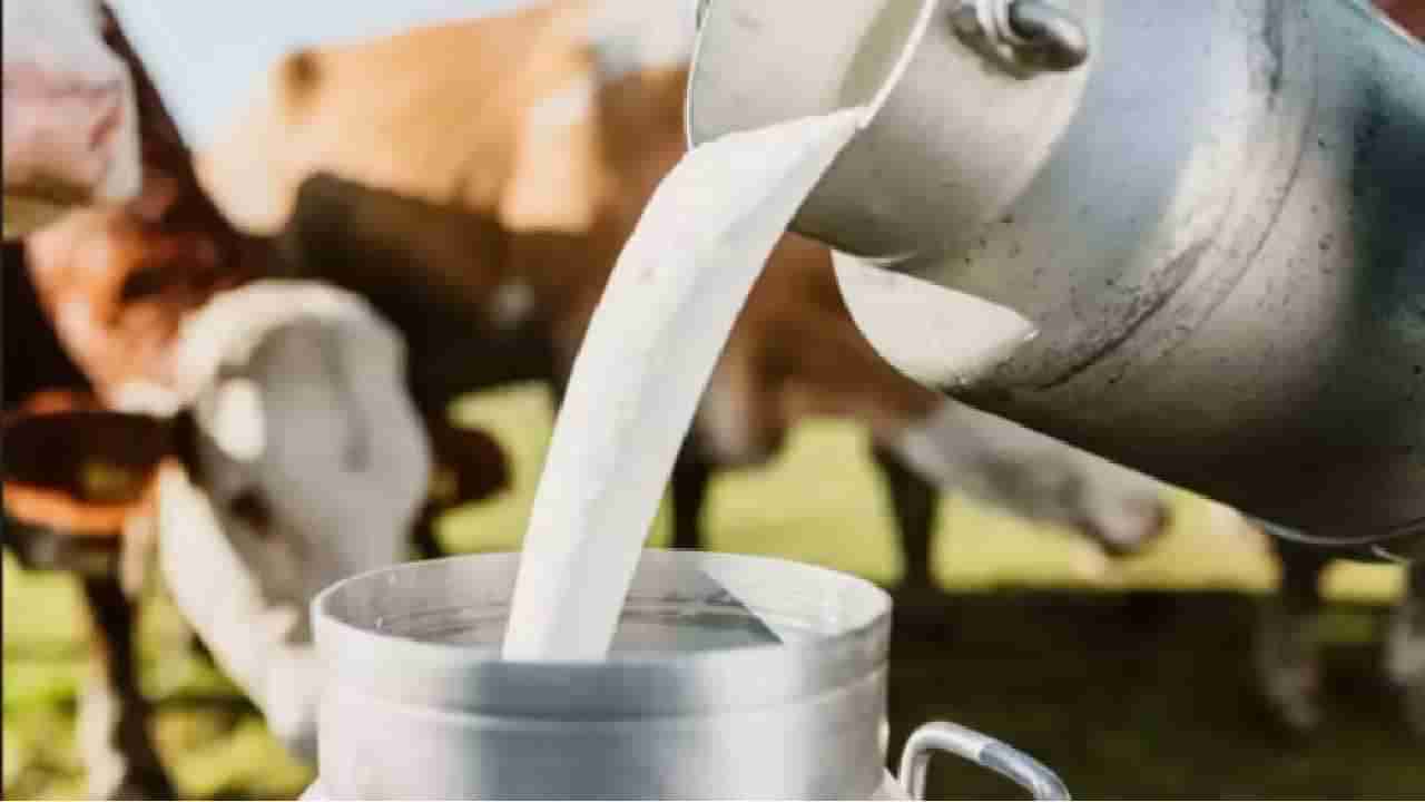 ರೈತರಿಗೆ ಮುಟ್ಟಿದ ನಂದಿನಿ ಹಾಲಿನ ದರ ಏರಿಕೆ ಹಣ: ಚಿಕ್ಕಬಳ್ಳಾಪುರದಲ್ಲಿ ಹರಿದ ಹಾಲಿನಹೊಳೆ