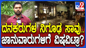ಮಂಗಳೂರಿನಲ್ಲಿ ನಿಗೂಢವಾಗಿ ಸಾವನ್ನಪ್ಪುತ್ತಿವೆ ಜಾನುವಾರುಗಳು ಮಂಗಳೂರಿನಲ್ಲಿ ನಿಗೂಢವಾಗಿ ಸಾವನ್ನಪ್ಪುತ್ತಿವೆ ಜಾನುವಾರುಗಳು