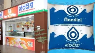 ನಂದಿನಿ ಹಾಲಿಗೆ ಪರಿಸರಸ್ನೇಹಿ ಪ್ಯಾಕಿಂಗ್: ಇನ್ನು ಮೆಕ್ಕೆಜೋಳದಲ್ಲಿ ತಯಾರಾಗಲಿದೆ ಹಾಲಿನ ಪ್ಯಾಕೆಟ್!
