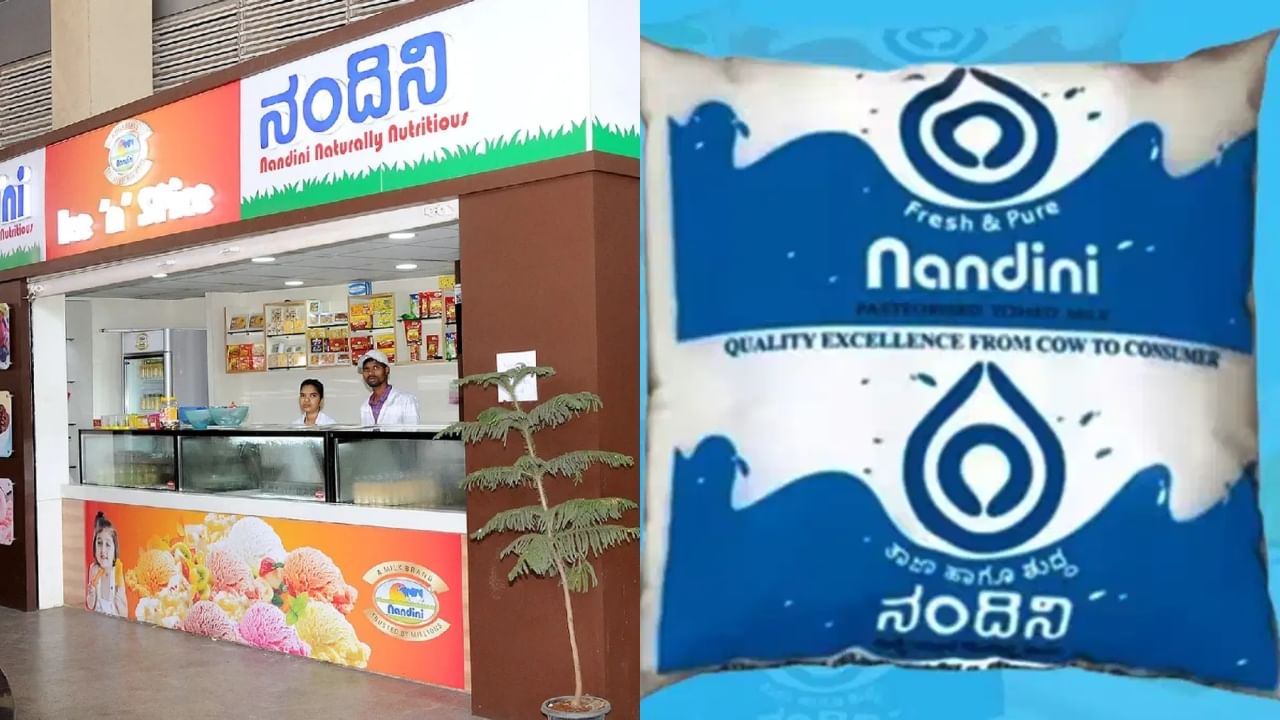 ನಂದಿನಿ ಹಾಲಿಗೆ ಪರಿಸರಸ್ನೇಹಿ ಪ್ಯಾಕಿಂಗ್: ಇನ್ನು ಮೆಕ್ಕೆಜೋಳದಲ್ಲಿ ತಯಾರಾಗಲಿದೆ ಹಾಲಿನ ಪ್ಯಾಕೆಟ್! ನಂದಿನಿ ಹಾಲಿಗೆ ಪರಿಸರಸ್ನೇಹಿ ಪ್ಯಾಕಿಂಗ್: ಇನ್ನು ಮೆಕ್ಕೆಜೋಳದಲ್ಲಿ ತಯಾರಾಗಲಿದೆ ಹಾಲಿನ ಪ್ಯಾಕೆಟ್!