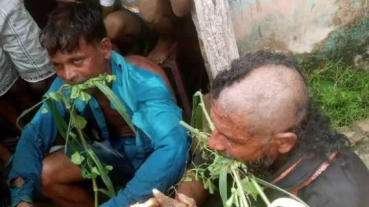 Video: ಒಡಿಶಾ: ಇಬ್ಬರ ಬಾಯಿಗೆ ಹುಲ್ಲು ತುರುಕಿ ಪ್ರಾಣಿಯಂತೆ ನಡೆಸಿದ್ದಲ್ಲದೆ ಚರಂಡಿ ನೀರು ಕುಡಿಸಿ ವಿಕೃತಿ ತೋರಿದ ಜನ Video: ಒಡಿಶಾ: ಇಬ್ಬರ ಬಾಯಿಗೆ ಹುಲ್ಲು ತುರುಕಿ ಪ್ರಾಣಿಯಂತೆ ನಡೆಸಿದ್ದಲ್ಲದೆ ಚರಂಡಿ ನೀರು ಕುಡಿಸಿ ವಿಕೃತಿ ತೋರಿದ ಜನ