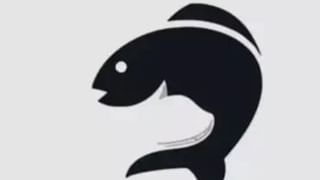 Video: ರೀಲ್ಸ್‌ ಮಾಡಲು ಬಂದಾಕೆಗೆ ಜಾಡಿಸಿ ಒದ್ದ ಕುದುರೆ; ವಿಡಿಯೋ ವೈರಲ್‌