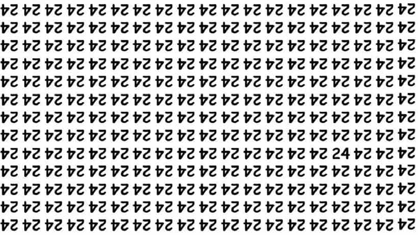 Optical Illusion: ನಿಮಗೊಂದು ಸವಾಲ್; ಈ ಉಲ್ಟಾ 24 ರ ನಡುವೆ ಅಡಗಿರುವ ಸೀದಾ 24 ಸಂಖ್ಯೆಯನ್ನು ಹುಡುಕಬಲ್ಲಿರಾ?
