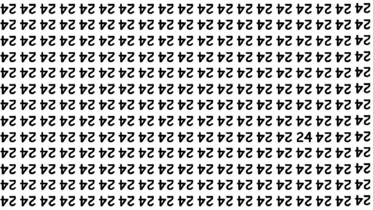 Optical Illusion: ನಿಮಗೊಂದು ಸವಾಲ್;‌ ಈ ಉಲ್ಟಾ 24 ರ ನಡುವೆ ಅಡಗಿರುವ ಸೀದಾ 24 ಸಂಖ್ಯೆಯನ್ನು ಹುಡುಕಬಲ್ಲಿರಾ?