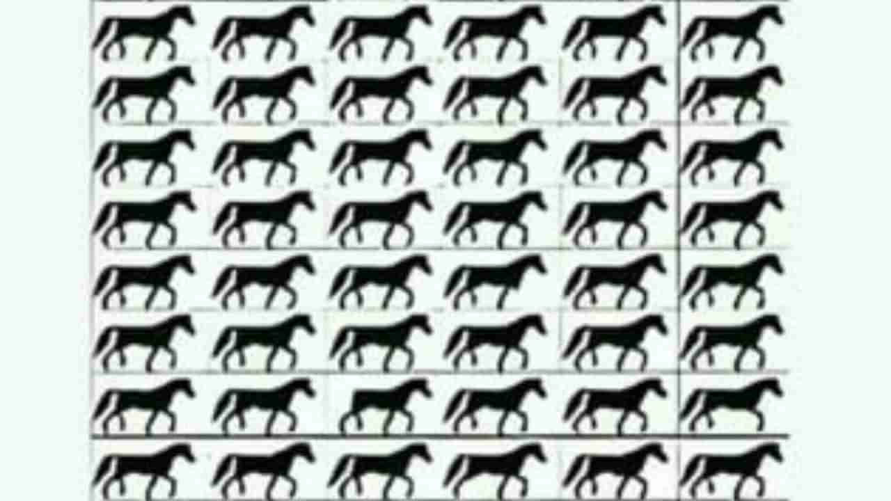 Optical Illusion : ನಿಮ್ಮ ಕಣ್ಣಿಗೊಂದು ಸವಾಲ್ : ಈ ಚಿತ್ರದಲ್ಲಿ ಬಾಲವಿಲ್ಲದ ಕುದುರೆಯನ್ನು ನೀವು ಹುಡುಕಬಲ್ಲಿರಾ?