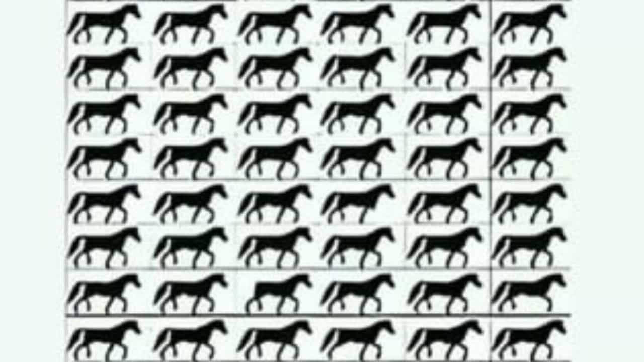 Optical Illusion : ನಿಮ್ಮ ಕಣ್ಣಿಗೊಂದು ಸವಾಲ್ : ಈ ಚಿತ್ರದಲ್ಲಿ ಬಾಲವಿಲ್ಲದ ಕುದುರೆಯನ್ನು ನೀವು ಹುಡುಕಬಲ್ಲಿರಾ?