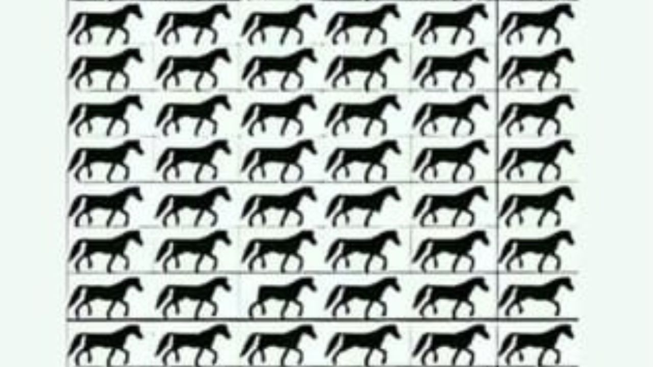 Optical Illusion : ನಿಮ್ಮ ಕಣ್ಣಿಗೊಂದು ಸವಾಲ್ : ಈ ಚಿತ್ರದಲ್ಲಿ ಬಾಲವಿಲ್ಲದ ಕುದುರೆಯನ್ನು ನೀವು ಹುಡುಕಬಲ್ಲಿರಾ?