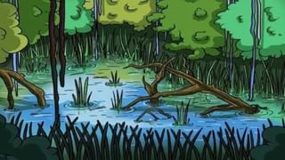 Video : ಈ ಕುಟುಂಬಕ್ಕೆ 56 ವರ್ಷಗಳ ಬಳಿಕ ಹೆಣ್ಣು ಮಗುವಿನ ಆಗಮನ, ಪುಟ್ಟ ಲಕ್ಷ್ಮಿಗೆ ಅದ್ದೂರಿ ಸ್ವಾಗತ