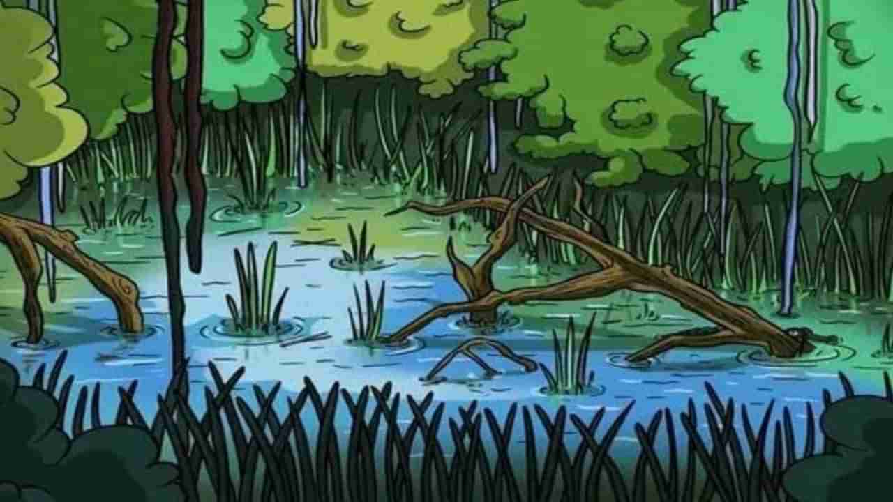 Optical Illusion: ಈ ಕೊಳದಲ್ಲಿ ಅಡಗಿರುವ ಮೊಸಳೆಯನ್ನು ಹುಡುಕಲು ನಿಮ್ಮಿಂದ ಸಾಧ್ಯನಾ?