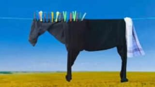 Video : ಚಿಲ್ಲರೆ ಕಾಸಿನಲ್ಲಿ ಪತ್ನಿಗೆ ಮಂಗಳಸೂತ್ರ ಖರೀದಿಸಲು ಬಂದ ವೃದ್ಧ, ಮುಂದೇನಾಯ್ತು ಗೊತ್ತಾ?