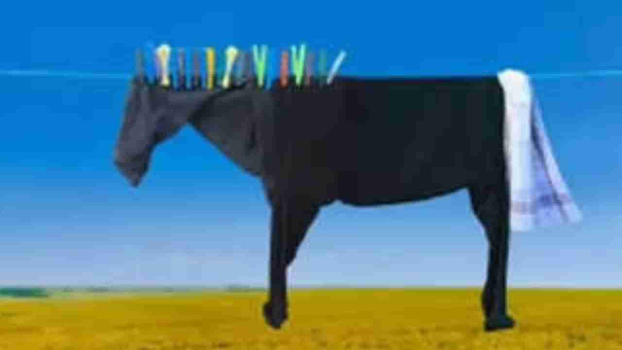 Optical Illusion : ಬಟ್ಟೆ, ಕುದುರೆ : ಈ ಚಿತ್ರದಲ್ಲಿ ನಿಮಗೆ ಮೊದಲು ಕಾಣಿಸಿದ್ದೇನು? ಇದುವೇ ಹೇಳುತ್ತೆ ನಿಮ್ಮ ವ್ಯಕ್ತಿತ್ವ