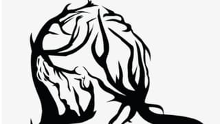 Viral : ಲಾಕ್ ಡೌನ್​​​, ರಾಮಮಂದಿರ, ಕುಂಭಮೇಳ, ಯುದ್ಧ, ಕೊನೆಗೆ ಆರ್​​ಸಿಬಿ ಕಪ್​​​​, ನಮ್ಮ ಜನ್ಮವೇ ಸಾರ್ಥಕ