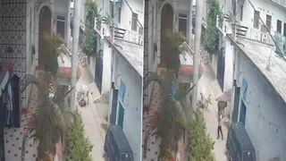 ಮಾತೃಭಾಷೆ ಮರೆಯಲ್ಲ, ಬೇರೆ ಭಾಷೆ ಬಗ್ಗೆ ಕಮೆಂಟ್ ಮಾಡಲ್ಲ: ರಚಿತಾ ರಾಮ್