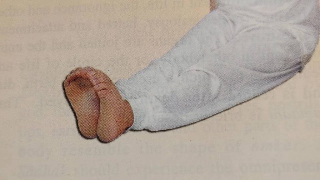 Patanjali Balakrishna Yoga 2