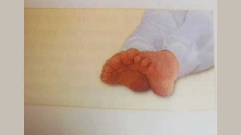 Patanjali Balakrishna Yoga 3