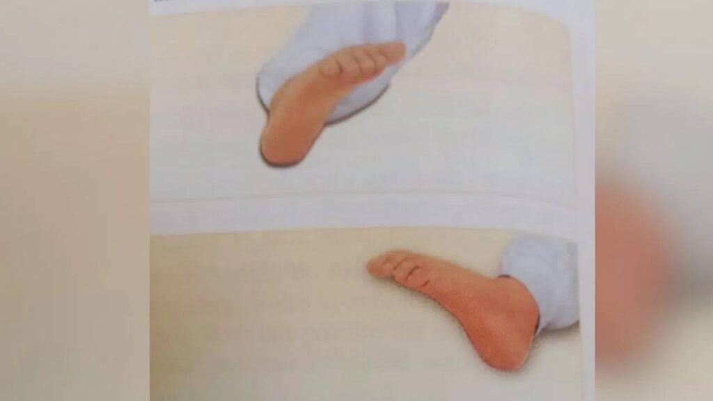 Patanjali Balakrishna Yoga 4