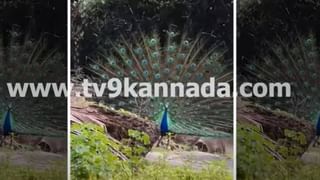ನನಗಿಂತ ಸಪ್ತಮಿ ಪಾತ್ರಕ್ಕೆ ಒಳ್ಳೆಯ ಡೈಲಾಗ್ ಇದೆ ಎಂದ ನೀನಾಸಂ ಸತೀಶ್