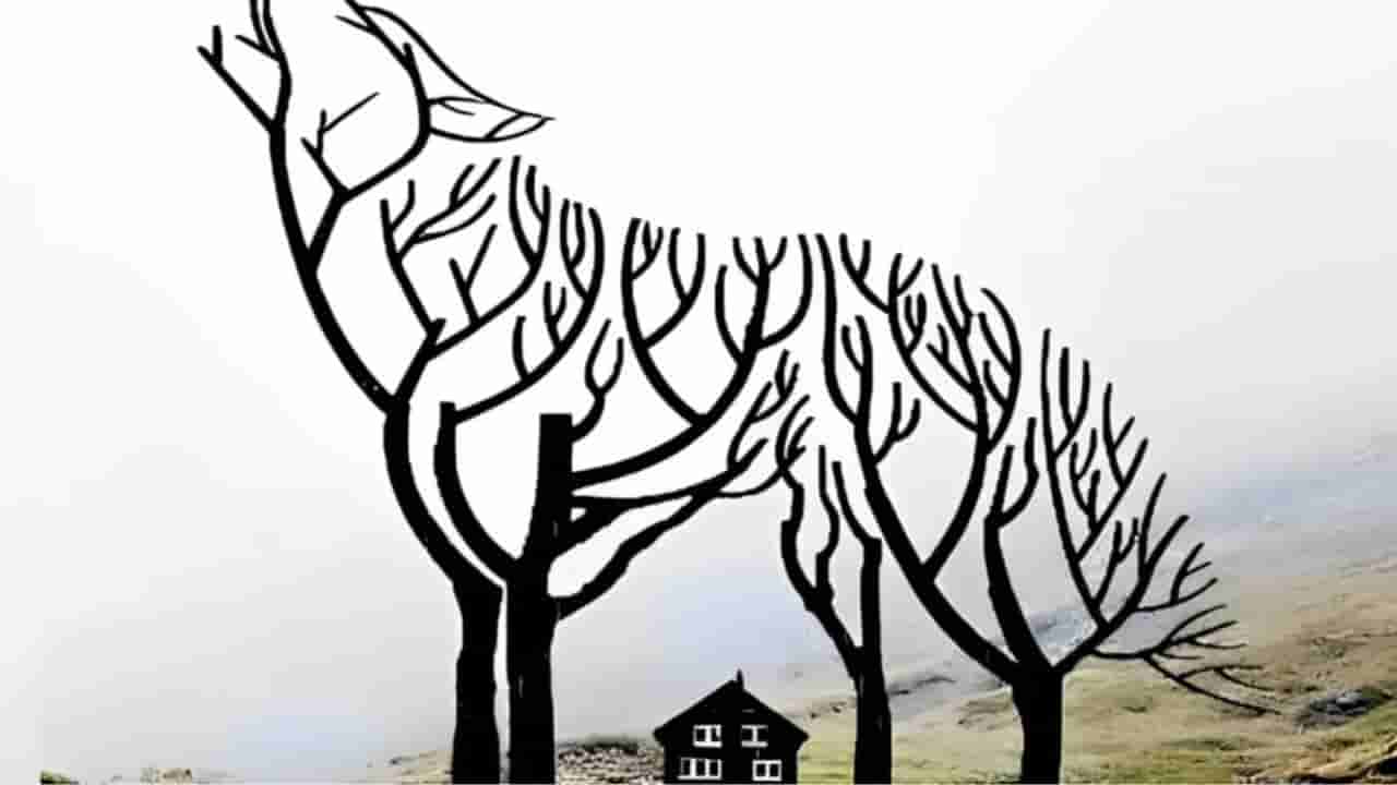 Personality Test : ತೋಳ, ಮರ, ಮನೆ : ಈ ಚಿತ್ರದಲ್ಲಿ ನೀವು ಮೊದಲು ನೋಡಿದ್ದೇನು? ಇದುವೇ ಹೇಳುತ್ತೆ ರಹಸ್ಯ ವ್ಯಕ್ತಿತ್ವ