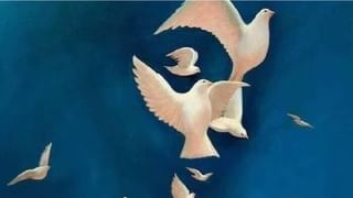 ಶ್ವಾನಗಳು ನಿಮ್ಮ ಭವಿಷ್ಯ ಹೇಳುತ್ತೆ, ಅದು ಹೇಗೆ? ಜ್ಯೋತಿಷಿ ವಿ. ಗಜಾನನ ಭಟ್ ಹೇಳೋದೇನು?