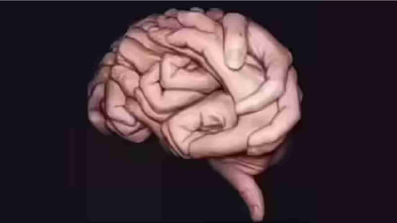 Personality Test: ನೀವು ಎಲ್ಲರನ್ನೂ ಕುರುಡಾಗಿ ನಂಬುವವರೇ; ಈ ಚಿತ್ರವೇ ಹೇಳುತ್ತೆ ನಿಮ್ಮ ನಿಗೂಢ ವ್ಯಕ್ತಿತ್ವ