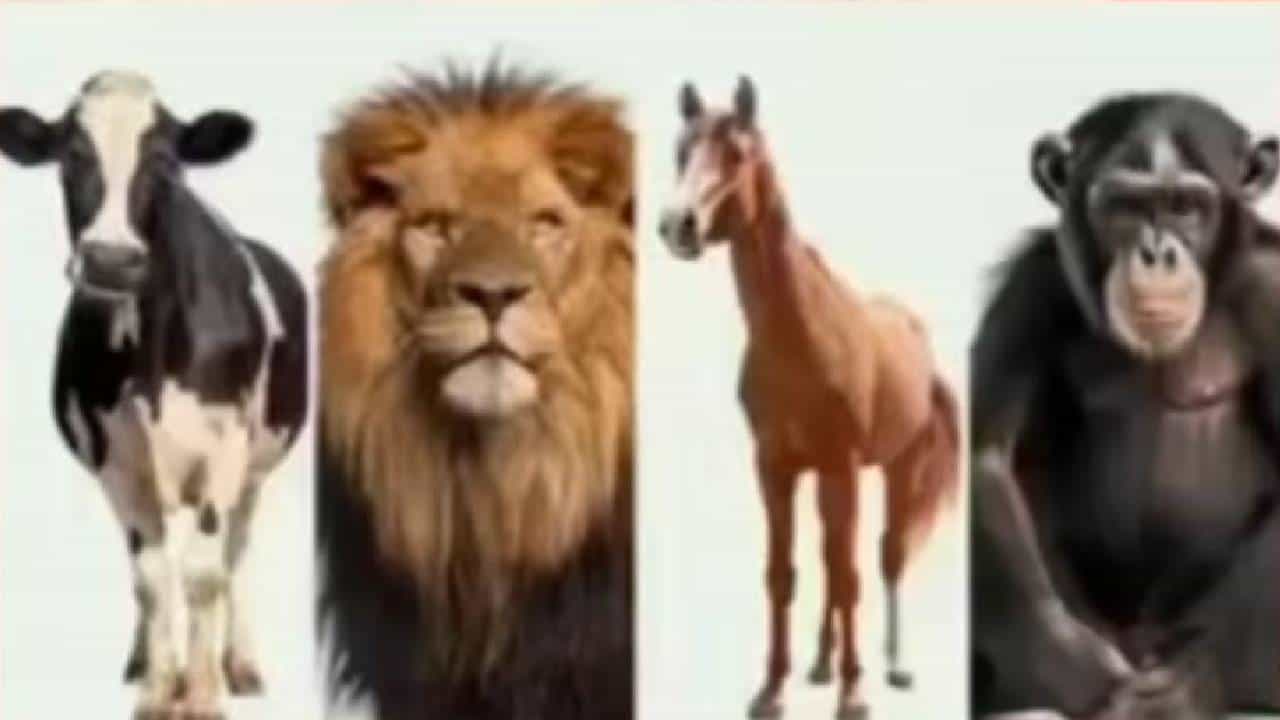 Personality Test: ಸ್ನೇಹ, ಹಣ, ನಿಷ್ಠೆ; ನೀವು  ಯಾವುದಕ್ಕೆ ಹೆಚ್ಚು ಗೌರವ ನೀಡುತ್ತೀರಿ ಎಂಬುದನ್ನು ಈ ಚಿತ್ರ ನೋಡಿ ಪರೀಕ್ಷಿಸಿ