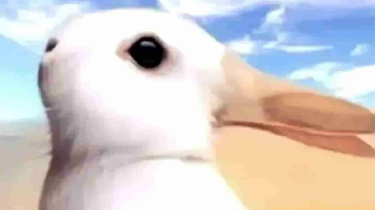 Personality Test: ನೀವು ಆಶಾವಾದಿಯೇ ಎಂಬುದನ್ನು ತಿಳಿಸುತ್ತೆ ಈ ಚಿತ್ರದಲ್ಲಿ ನಿಮಗೆ ಮೊದಲು ಕಾಣಿಸುವ ಅಂಶ