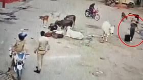 ಆರೋಪಿಗಳು ಓಡಿ ಹೋಗಲು ಅವಕಾಶ ಮಾಡಿಕೊಟ್ಟ ಇಬ್ಬರು ಪೊಲೀಸರ ಅಮಾನತು ಆರೋಪಿಗಳು ಓಡಿ ಹೋಗಲು ಅವಕಾಶ ಮಾಡಿಕೊಟ್ಟ ಇಬ್ಬರು ಪೊಲೀಸರ ಅಮಾನತು