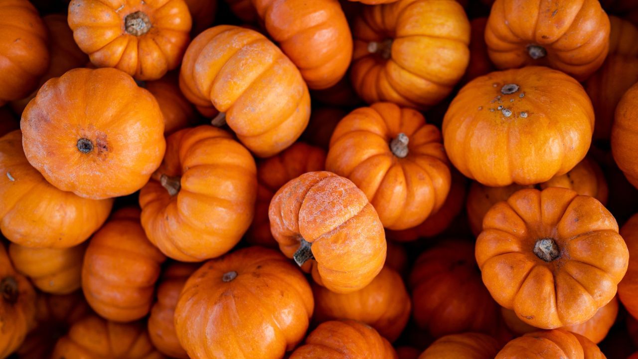 Pumpkin Benefits: ಕ್ಯಾನ್ಸರ್ ನಿಂದ ಪುರುಷರ ಲೈಂಗಿಕ ಸಮಸ್ಯೆ ತಡೆಗಟ್ಟುವ ವರೆಗೆ; ಈ ತರಕಾರಿಯೇ ಬೆಸ್ಟ್ ಮೆಡಿಸಿನ್