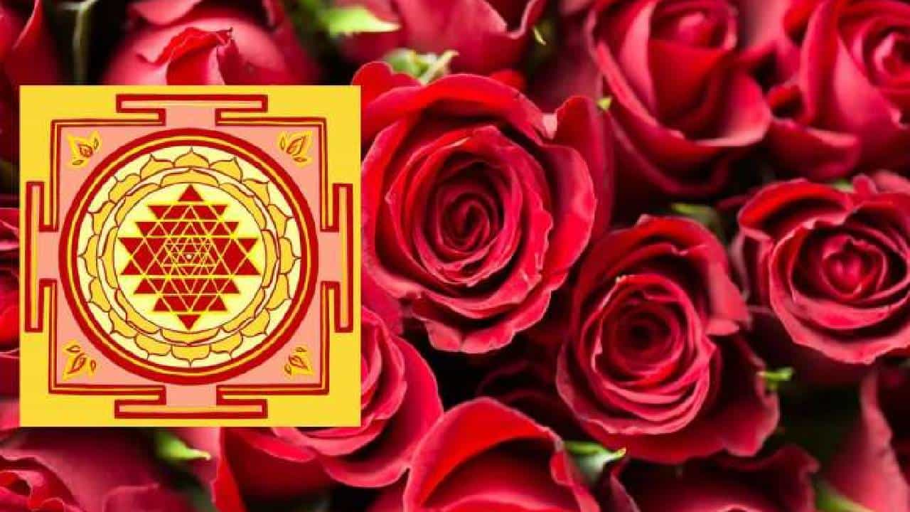 Vasthu Tips: ಪ್ರೀತಿ, ಹಣ ಮತ್ತು ಯಶಸ್ಸು ನಿಮ್ಮದಾಗಬೇಕೆಂದರೆ ಈ ವಾಸ್ತು ಸಲಹೆ ಅನುಸರಿಸಿ