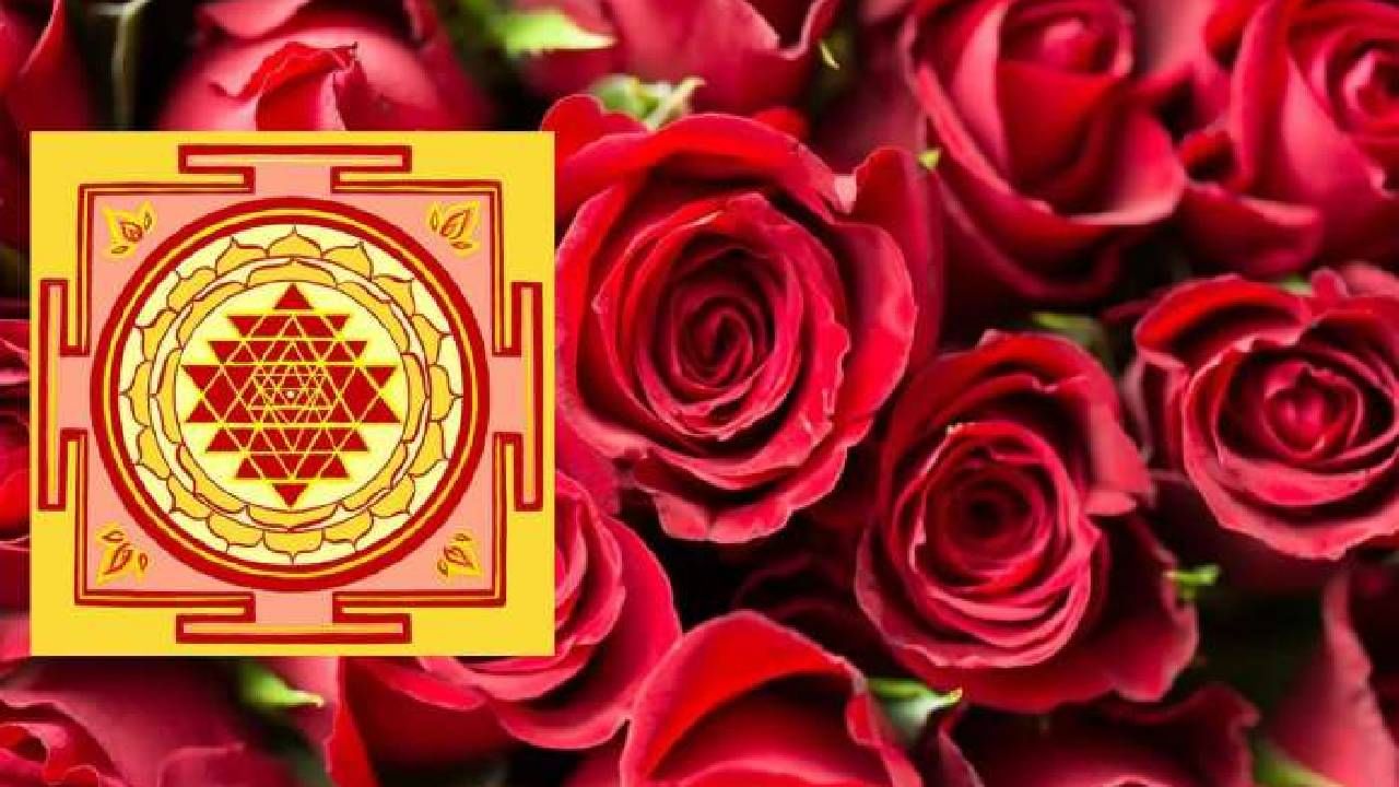 Vasthu Tips: ಪ್ರೀತಿ, ಹಣ ಮತ್ತು ಯಶಸ್ಸು ನಿಮ್ಮದಾಗಬೇಕೆಂದರೆ ಈ ವಾಸ್ತು ಸಲಹೆ ಅನುಸರಿಸಿ