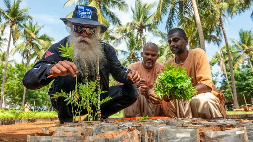 World Environment Day: ಕಾವೇರಿ ಕಾಲಿಂಗ್ ಅಭಿಯಾನದಡಿ 1 ವರ್ಷದಲ್ಲಿ 1.36 ಕೋಟಿ ಗಿಡಗಳನ್ನು ನೆಡಲಾಗಿದೆ